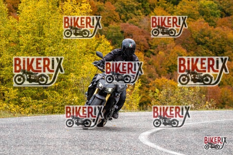 Forca d Acero 18-10-25 h13-24 0539