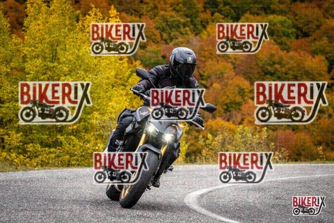 Forca d Acero 18-10-25 h13-24 0541