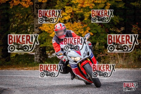 Forca d Acero 18-10-25 h13-37 0553