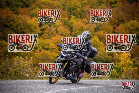 Forca d Acero 18-10-25 h13-41 0584