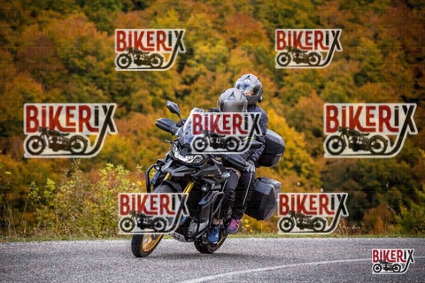 Forca d Acero 18-10-25 h13-41 0585