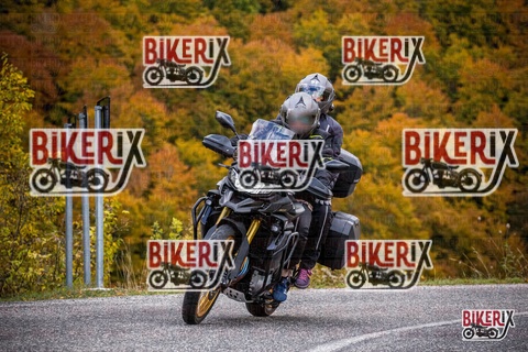 Forca d Acero 18-10-25 h13-41 0586