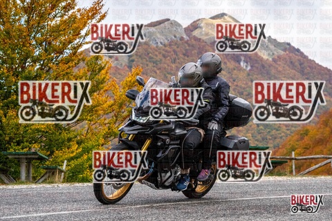 Forca d Acero 18-10-25 h13-41 0589