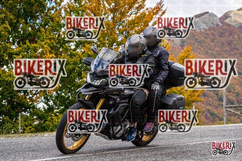 Forca d Acero 18-10-25 h13-41 0591