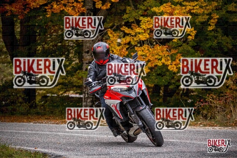 Forca d Acero 18-10-25 h13-51 0603