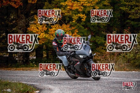 Forca d Acero 18-10-25 h14-11 0657