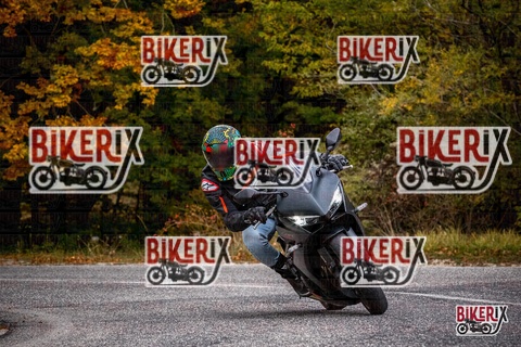 Forca d Acero 18-10-25 h14-11 0659