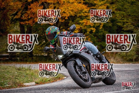 Forca d Acero 18-10-25 h14-11 0661