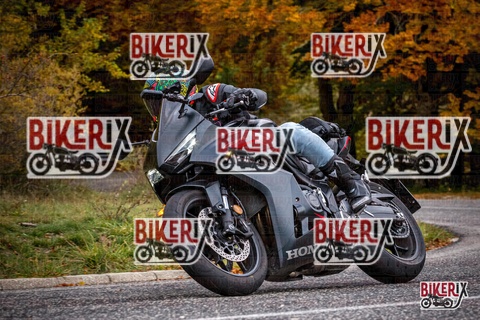 Forca d Acero 18-10-25 h14-11 0662