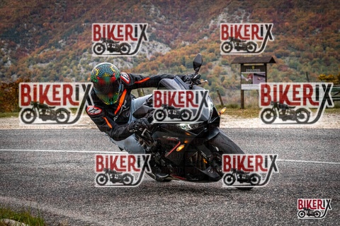 Forca d Acero 18-10-25 h14-11 0664