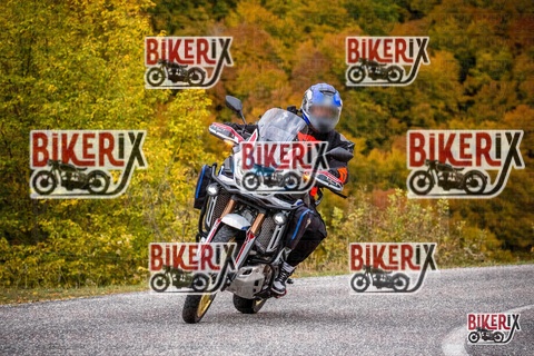 Forca d Acero 18-10-25 h14-17 0692