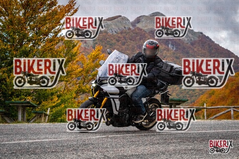 Forca d Acero 18-10-25 h14-18 0697