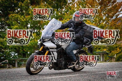 Forca d Acero 18-10-25 h14-18 0699