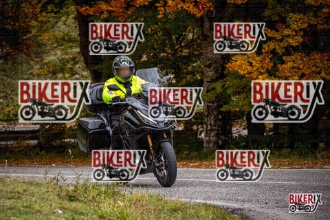 Forca d Acero 18-10-25 h14-31 0703