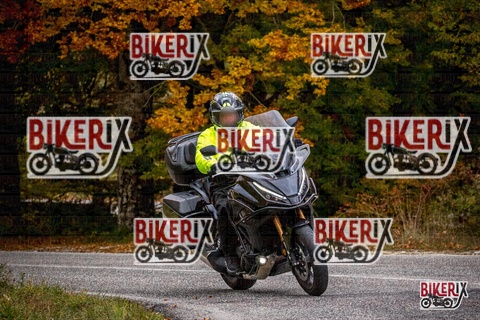 Forca d Acero 18-10-25 h14-31 0705