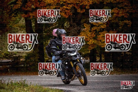 Forca d Acero 18-10-25 h14-41 0718