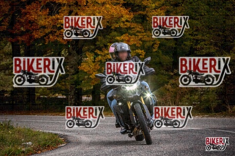 Forca d Acero 18-10-25 h14-41 0719