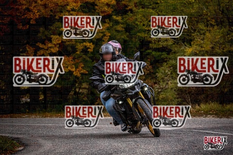 Forca d Acero 18-10-25 h14-43 0732