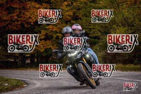 Forca d Acero 18-10-25 h14-43 0734