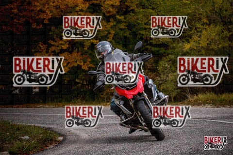 Forca d Acero 18-10-25 h14-44 0739