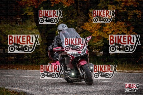 Forca d Acero 18-10-25 h14-54 0754