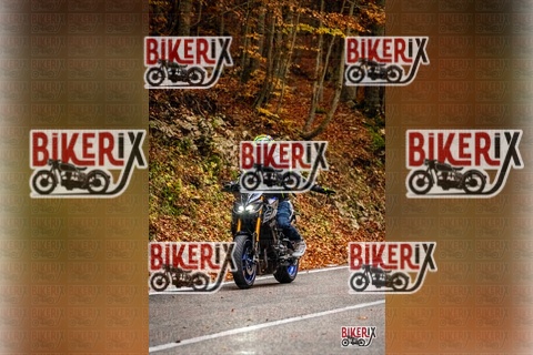 Forca d Acero 18-10-25 h15-16 0808