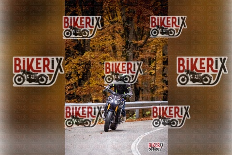 Forca d Acero 18-10-25 h15-23 0816