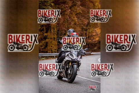 Forca d Acero 18-10-25 h15-25 0822