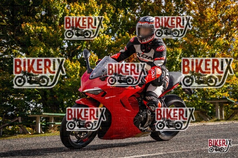 Forca d Acero 19-10-25 h10-46 0221