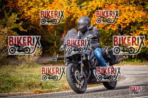 Forca d Acero 19-10-25 h10-50 0249