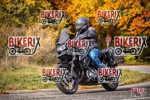 Forca d Acero 19-10-25 h10-50 0250