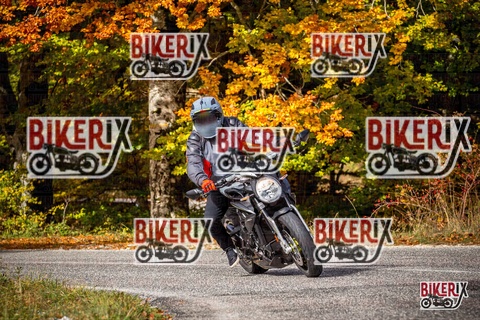 Forca d Acero 19-10-25 h11-08 0402