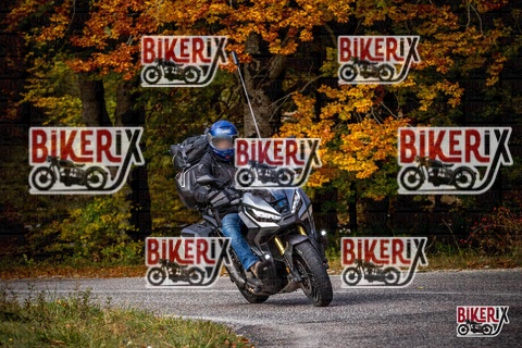 Forca d Acero 19-10-25 h11-12 0441