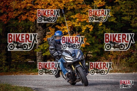 Forca d Acero 19-10-25 h11-12 0442