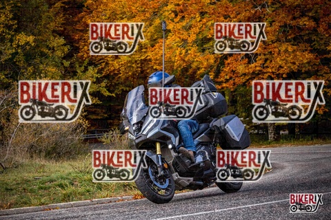 Forca d Acero 19-10-25 h11-12 0446