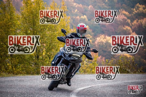 Forca d Acero 19-10-25 h11-13 0454