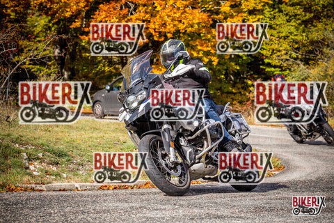 Forca d Acero 19-10-25 h11-17 0460