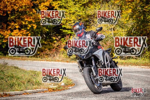 Forca d Acero 19-10-25 h11-17 0462