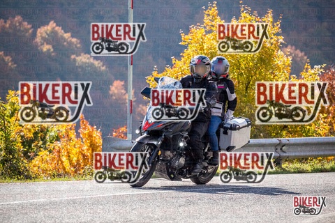 Forca d Acero 19-10-25 h11-22 0471