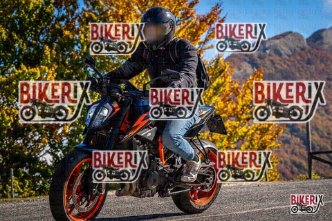 Forca d Acero 19-10-25 h11-33 0567