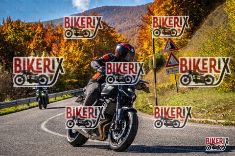 Forca d Acero 19-10-25 h11-40 0694