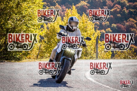 Forca d Acero 19-10-25 h11-41 0730