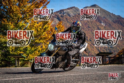 Forca d Acero 19-10-25 h11-54 0934