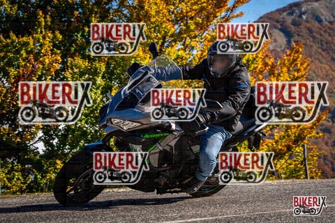 Forca d Acero 19-10-25 h11-54 0942