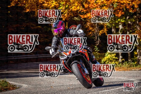 Forca d Acero 19-10-25 h12-10 1094