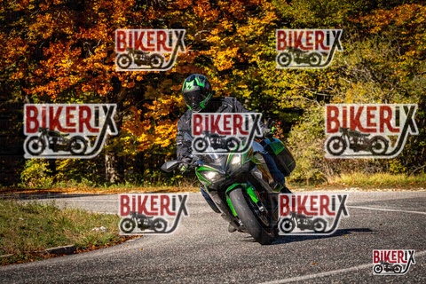 Forca d Acero 19-10-25 h12-10 1098