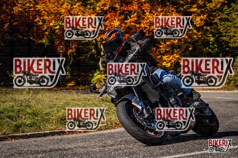 Forca d Acero 19-10-25 h12-11 1113