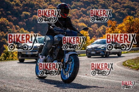 Forca d Acero 19-10-25 h12-12 1125