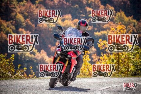 Forca d Acero 19-10-25 h12-13 1140