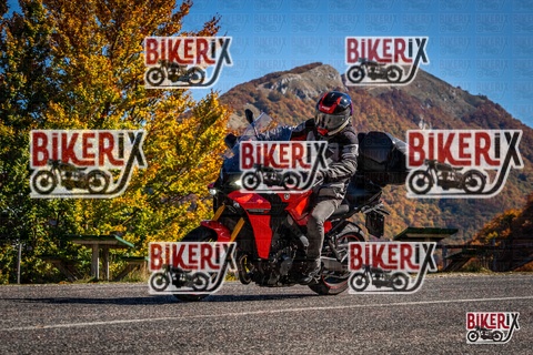 Forca d Acero 19-10-25 h12-13 1158